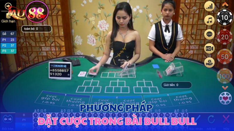 Phương pháp đặt cược trong bài Bull Bull