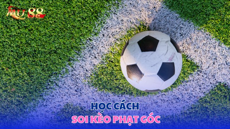 Học soi kèo phạt góc